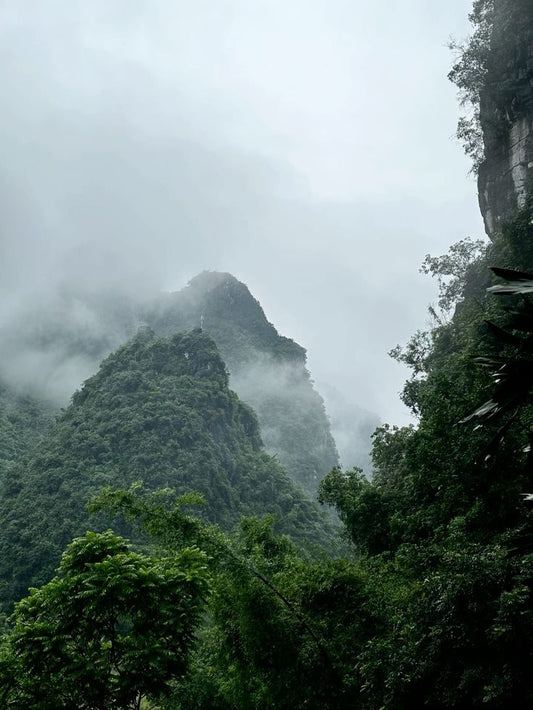 Why Is Bali Feeling Colder Lately?